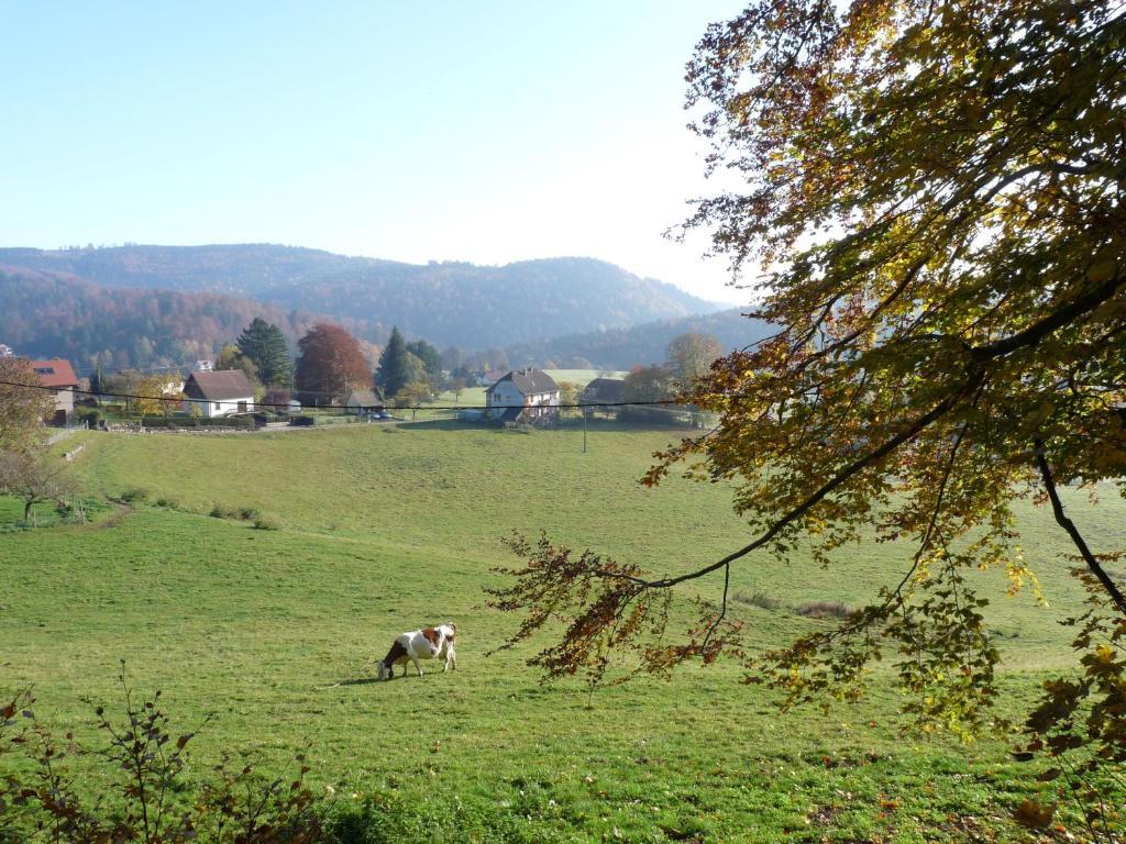 דירות לה הוואלד Locations Dupertuis Alsace חדר תמונה