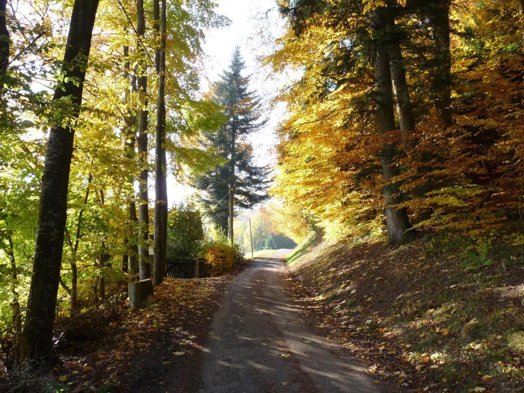 דירות לה הוואלד Locations Dupertuis Alsace מראה חיצוני תמונה