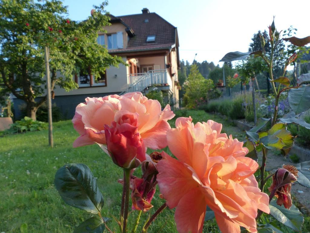 דירות לה הוואלד Locations Dupertuis Alsace מראה חיצוני תמונה